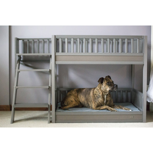 Doggie bunk beds hotsell